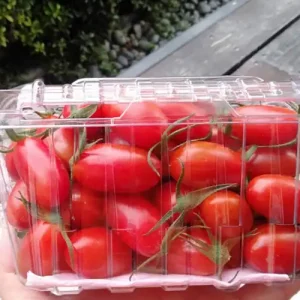 玉女小番茄600g/盒